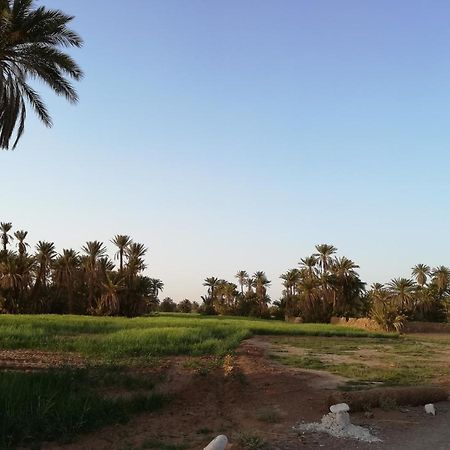 Kasbah Les Alizes Du Desert M'Hamid Luaran gambar