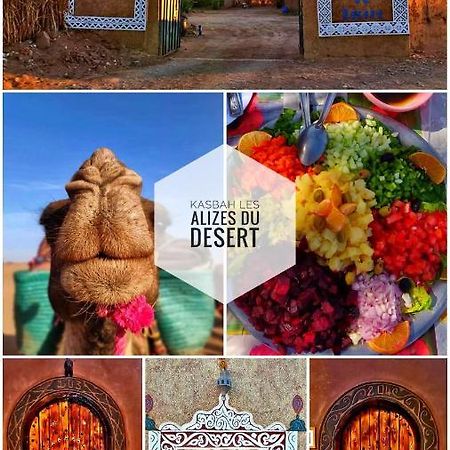 Kasbah Les Alizes Du Desert M'Hamid Luaran gambar