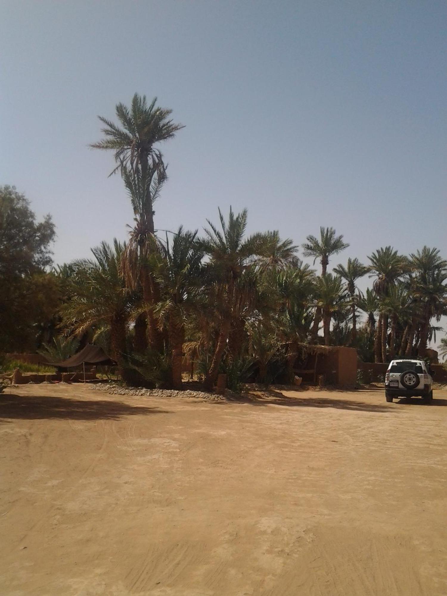 Kasbah Les Alizes Du Desert M'Hamid Luaran gambar