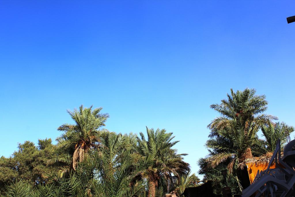 Kasbah Les Alizes Du Desert M'Hamid Luaran gambar
