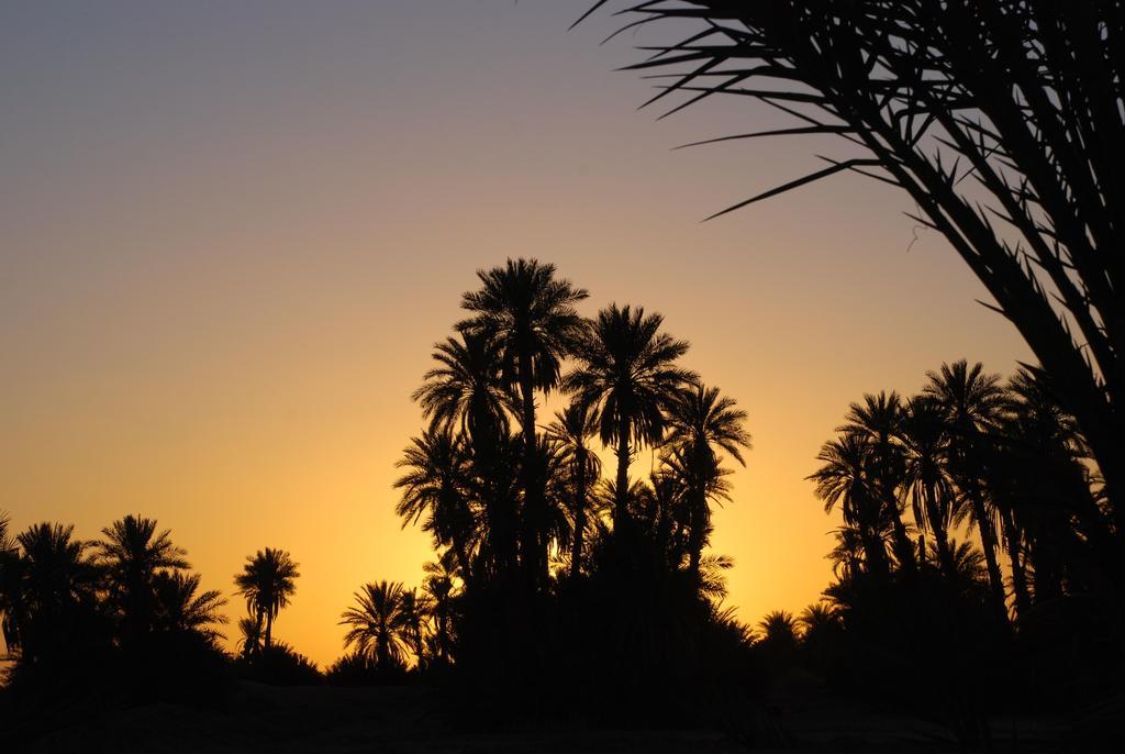 Kasbah Les Alizes Du Desert M'Hamid Luaran gambar