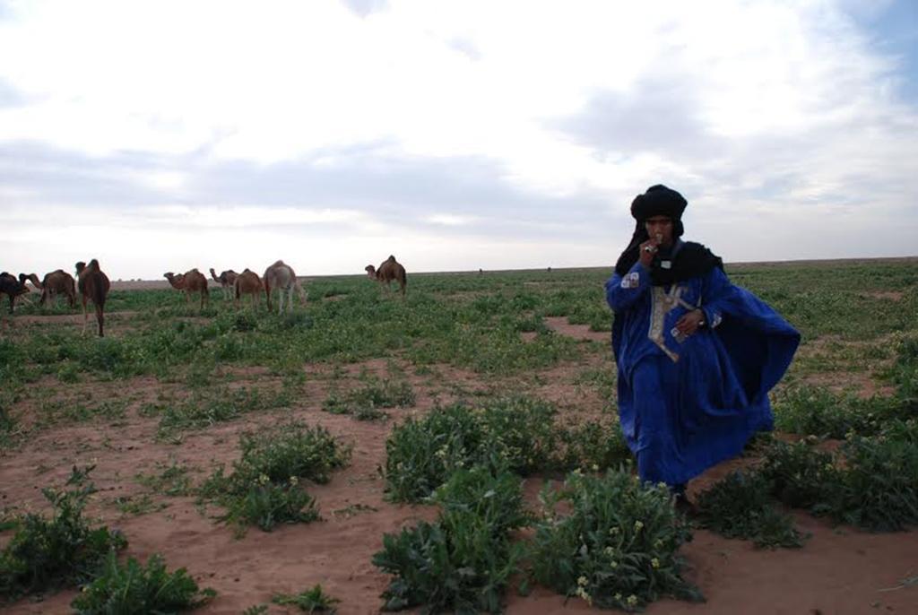 Kasbah Les Alizes Du Desert M'Hamid Luaran gambar