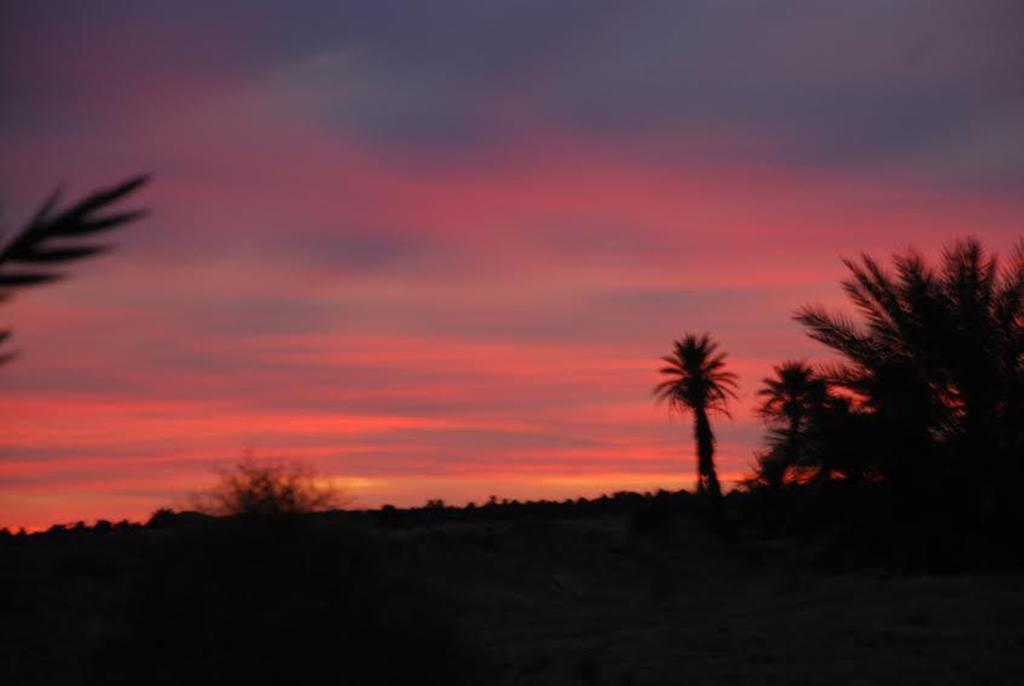 Kasbah Les Alizes Du Desert M'Hamid Luaran gambar