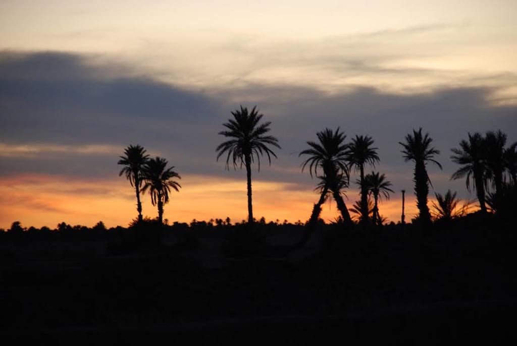 Kasbah Les Alizes Du Desert M'Hamid Luaran gambar