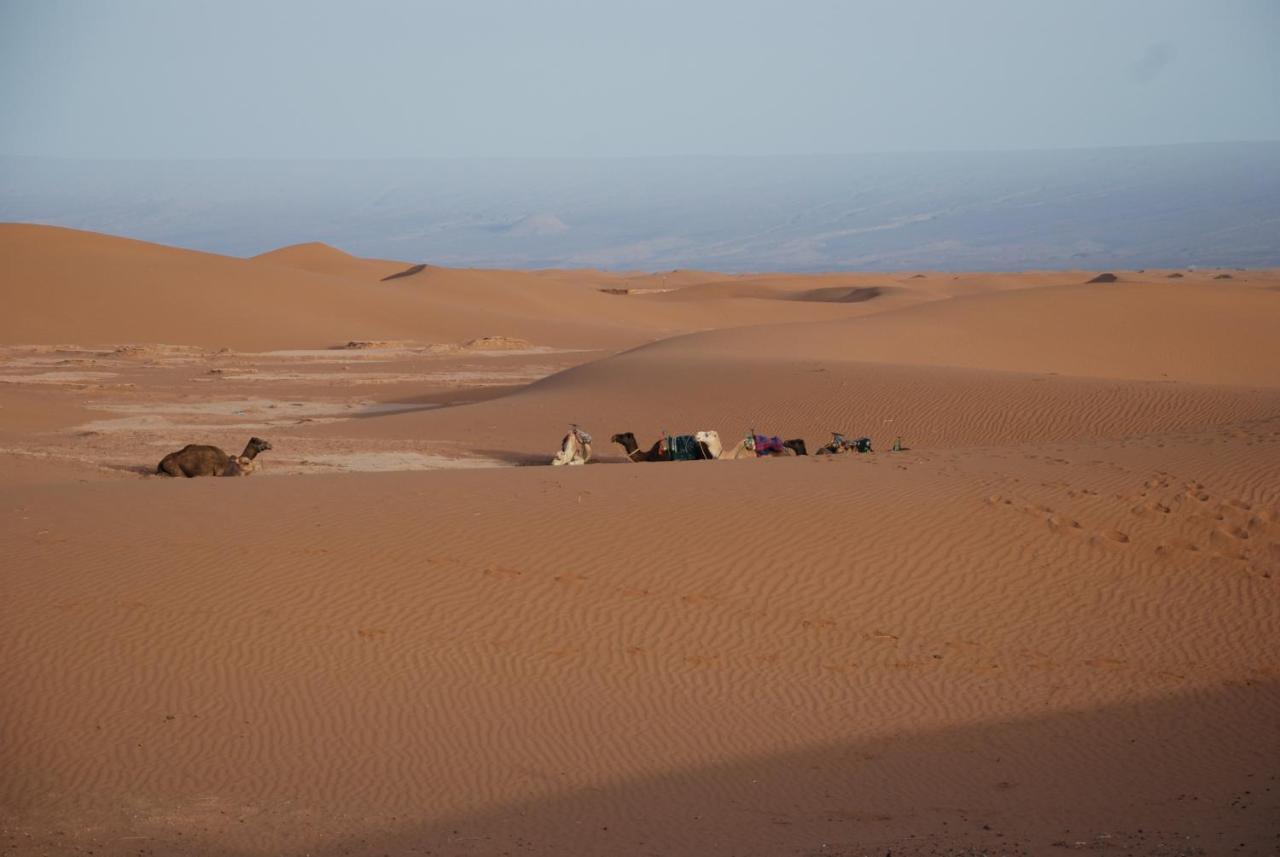Kasbah Les Alizes Du Desert M'Hamid Luaran gambar