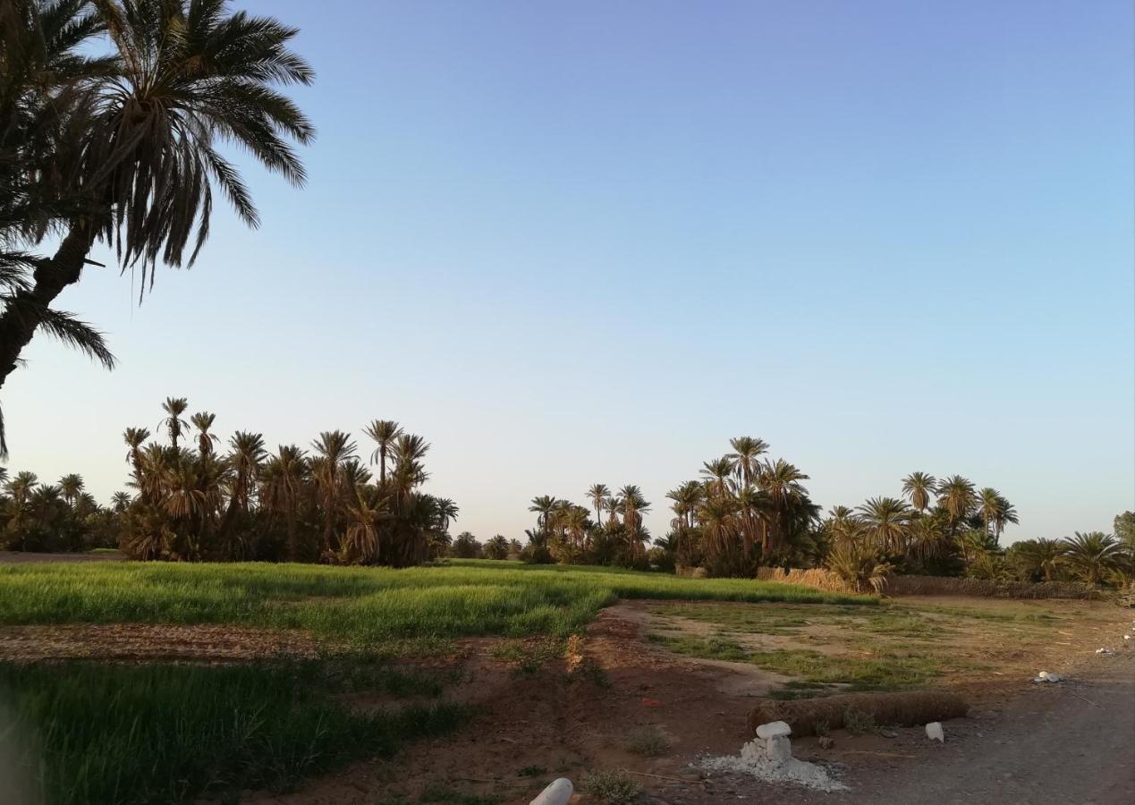 Kasbah Les Alizes Du Desert M'Hamid Luaran gambar