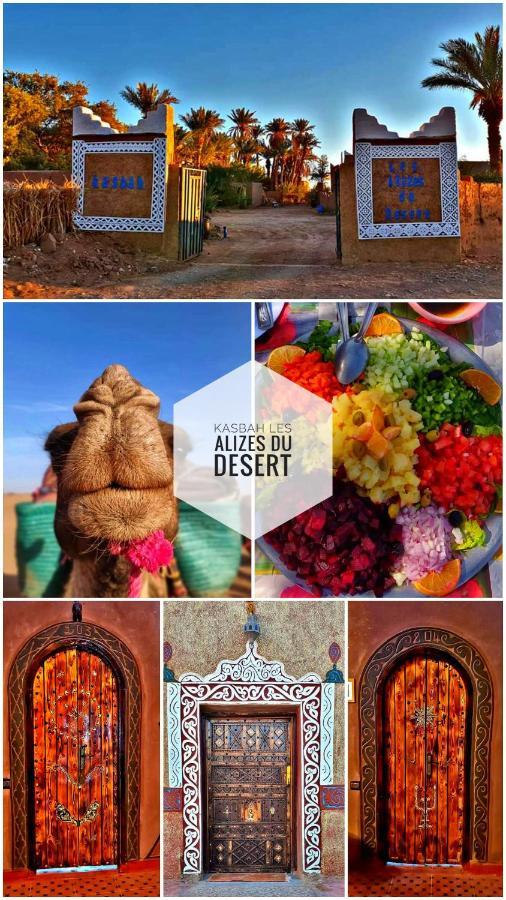 Kasbah Les Alizes Du Desert M'Hamid Luaran gambar