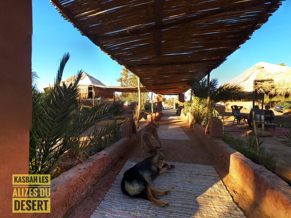 Kasbah Les Alizes Du Desert M'Hamid Luaran gambar